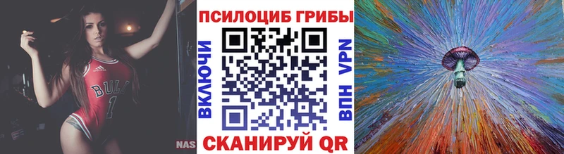 кракен Будённовск Псилоцибиновые грибы прущие грибы